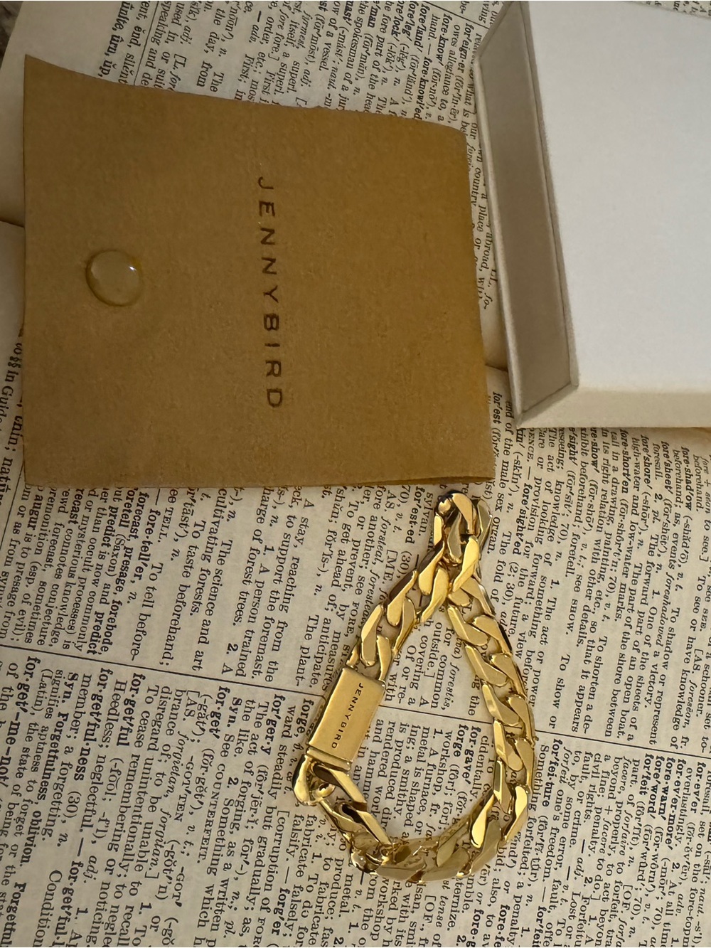 Jenny Bird Gold Chunky Link Bracelet